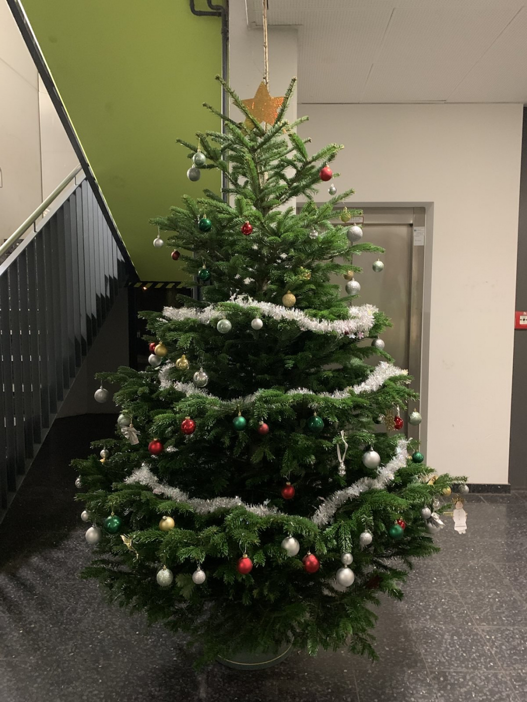 Weihnachtsbaum 2023